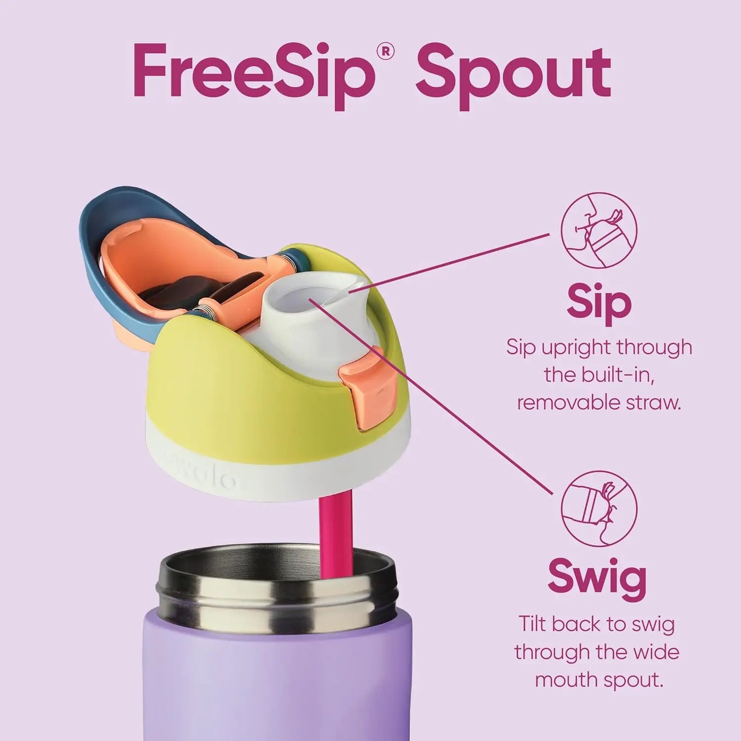 Insulated Stainless Steel Water Bottle with Straw,