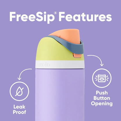 Insulated Stainless Steel Water Bottle with Straw,