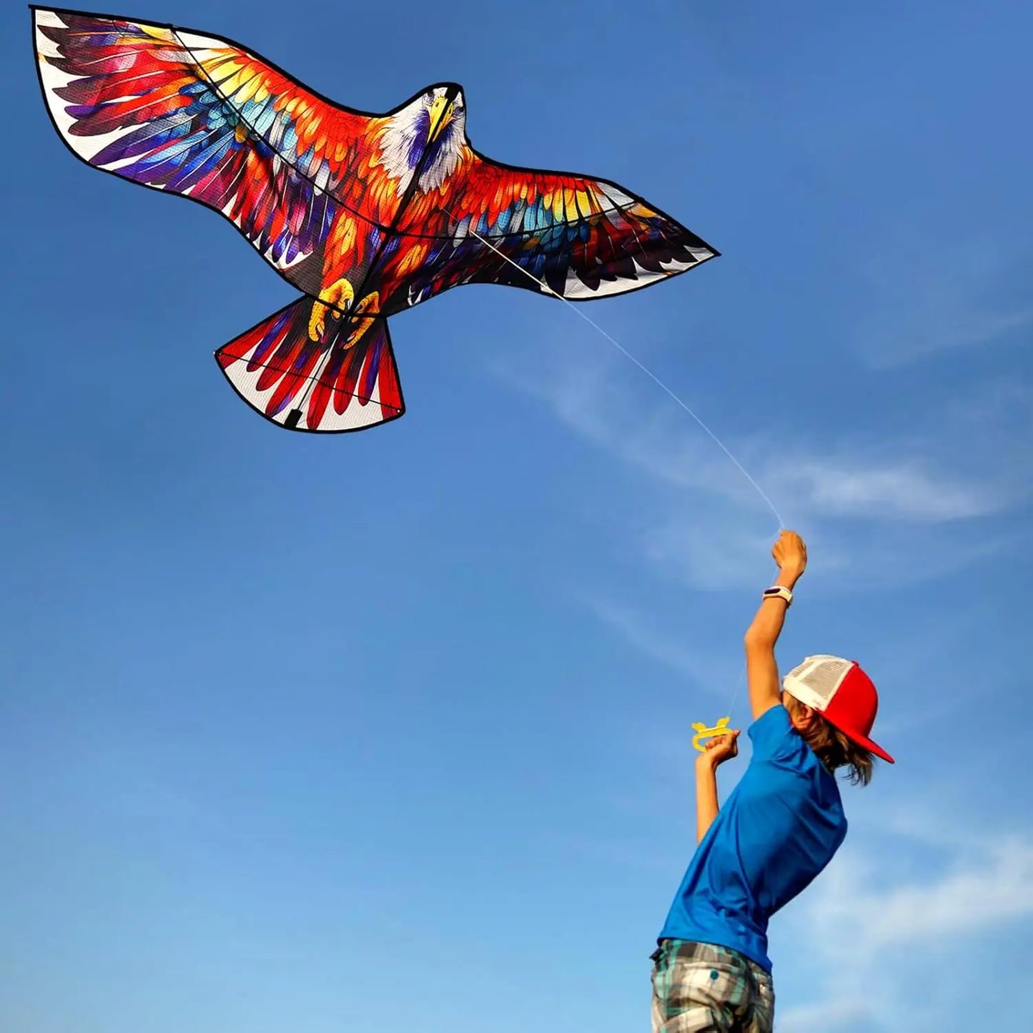 New Outdoor Fun Sports Huge Colorful Eagle Kite