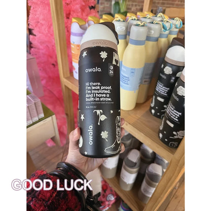 Insulated Stainless Steel Water Bottle with Straw,