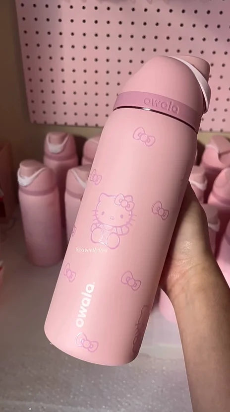 Insulated Stainless Steel Water Bottle with Straw,