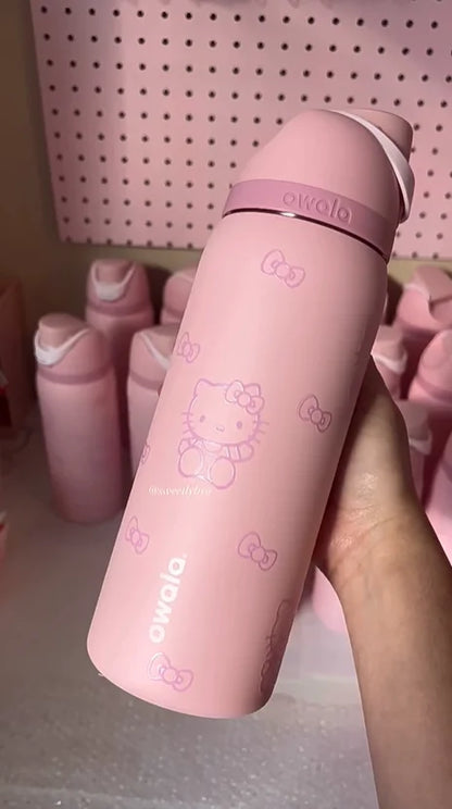 Insulated Stainless Steel Water Bottle with Straw,
