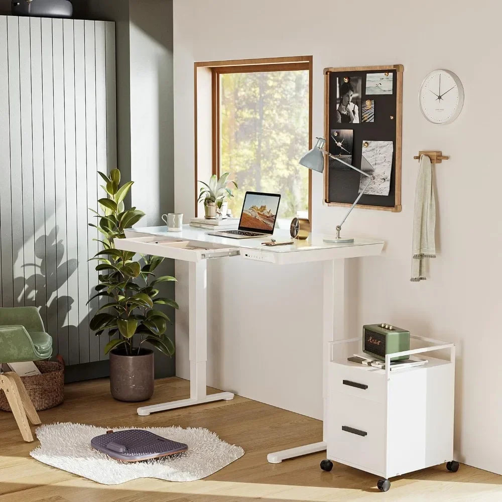 Electric Standing Desk with Drawers, Adjustable Stand Up Sit Stand Ergonomic